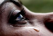 The Tears I Shed For You The Tears I Shed For You