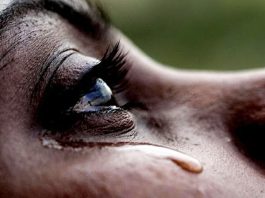 The Tears I Shed For You